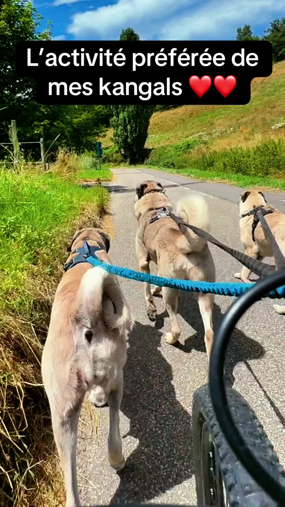 @Purekangal