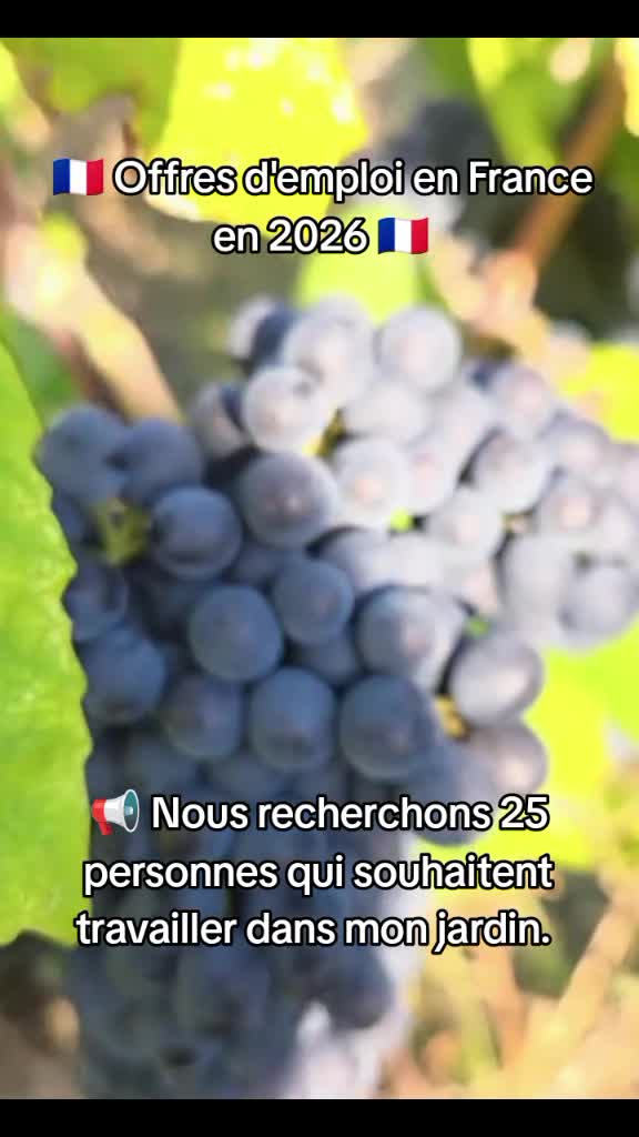 @user54934111670