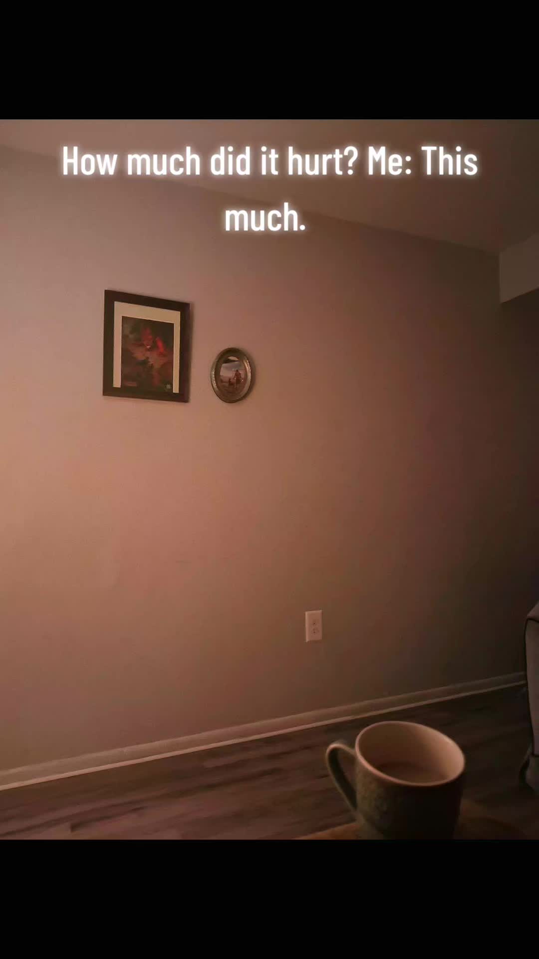 @thefalloutcompanion