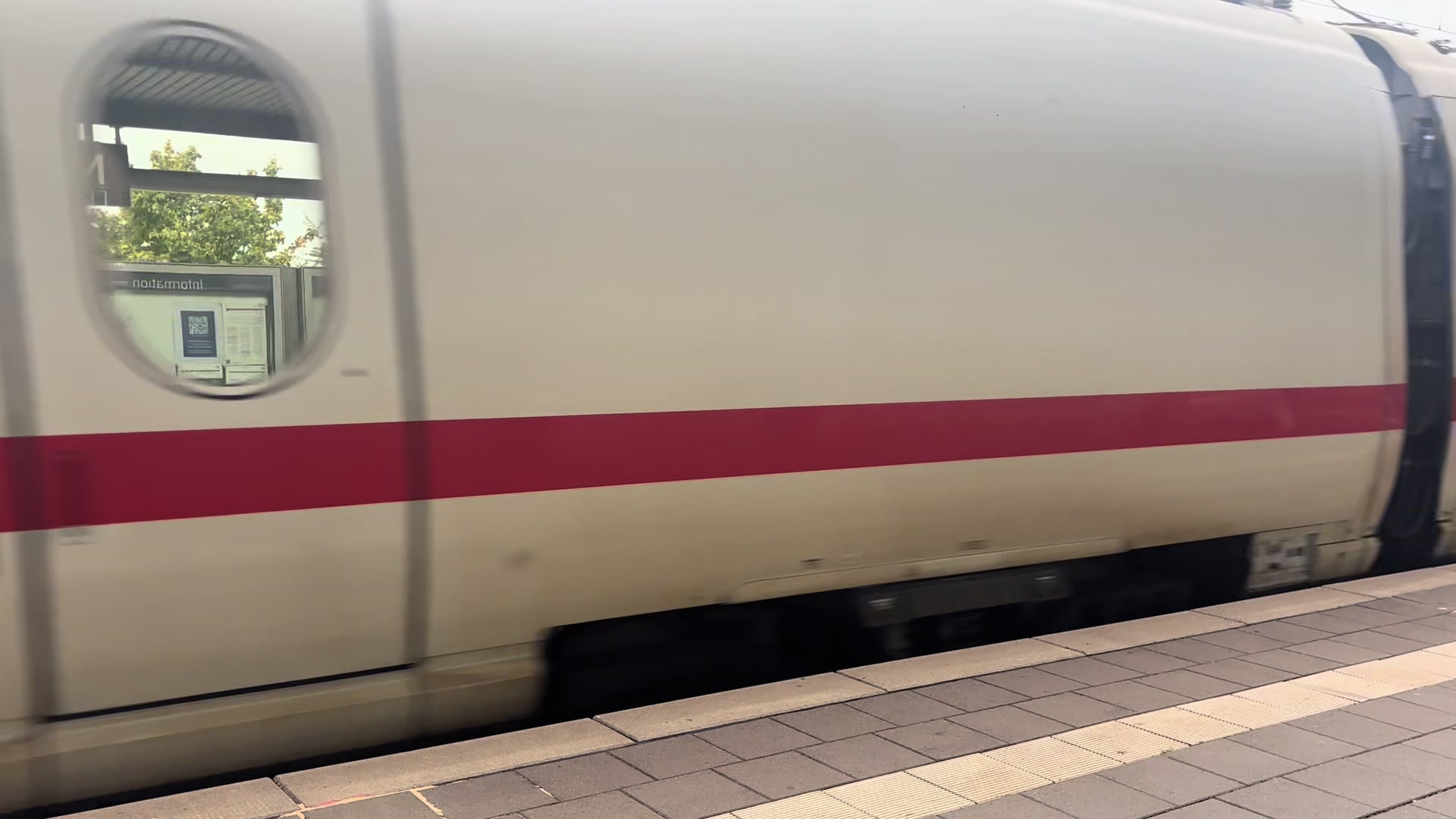 @Trainspotter_BVB🖤💛