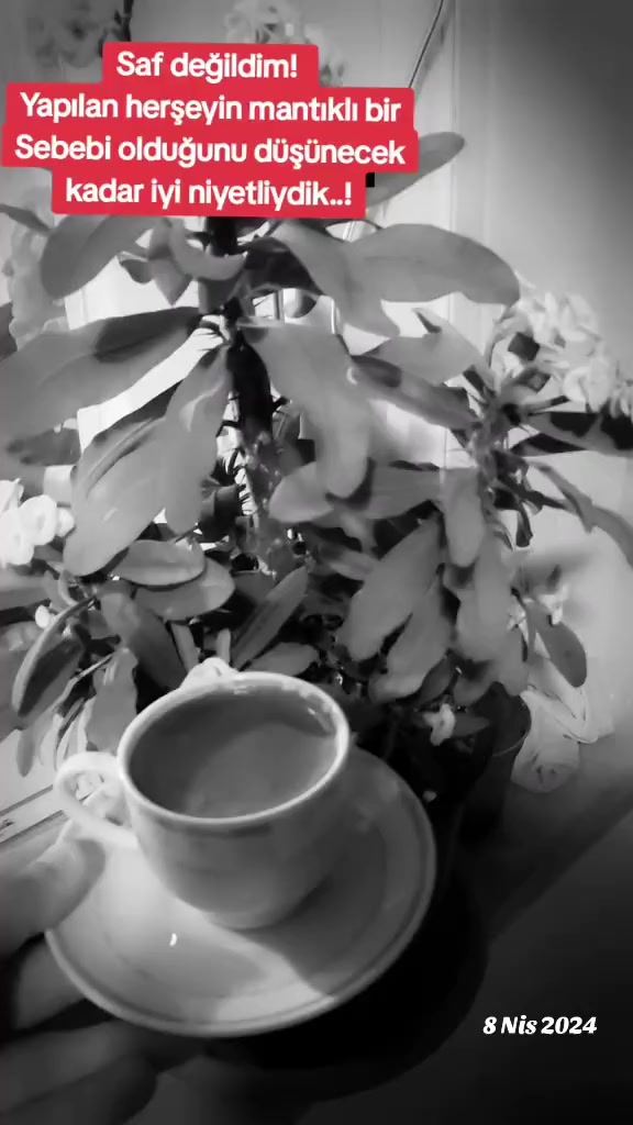 @🍷🍂Mustafa Sedef &ccedil;ınkır 🍂🍷