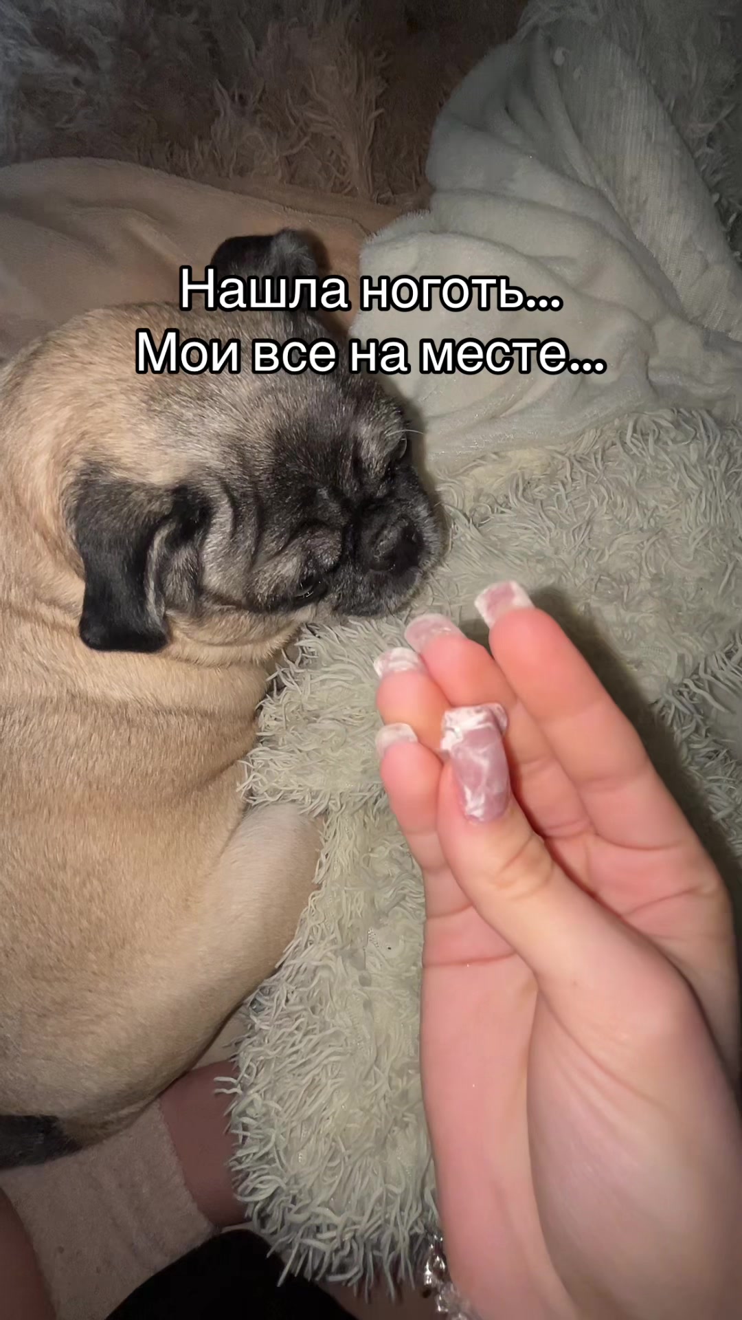 @Гелик