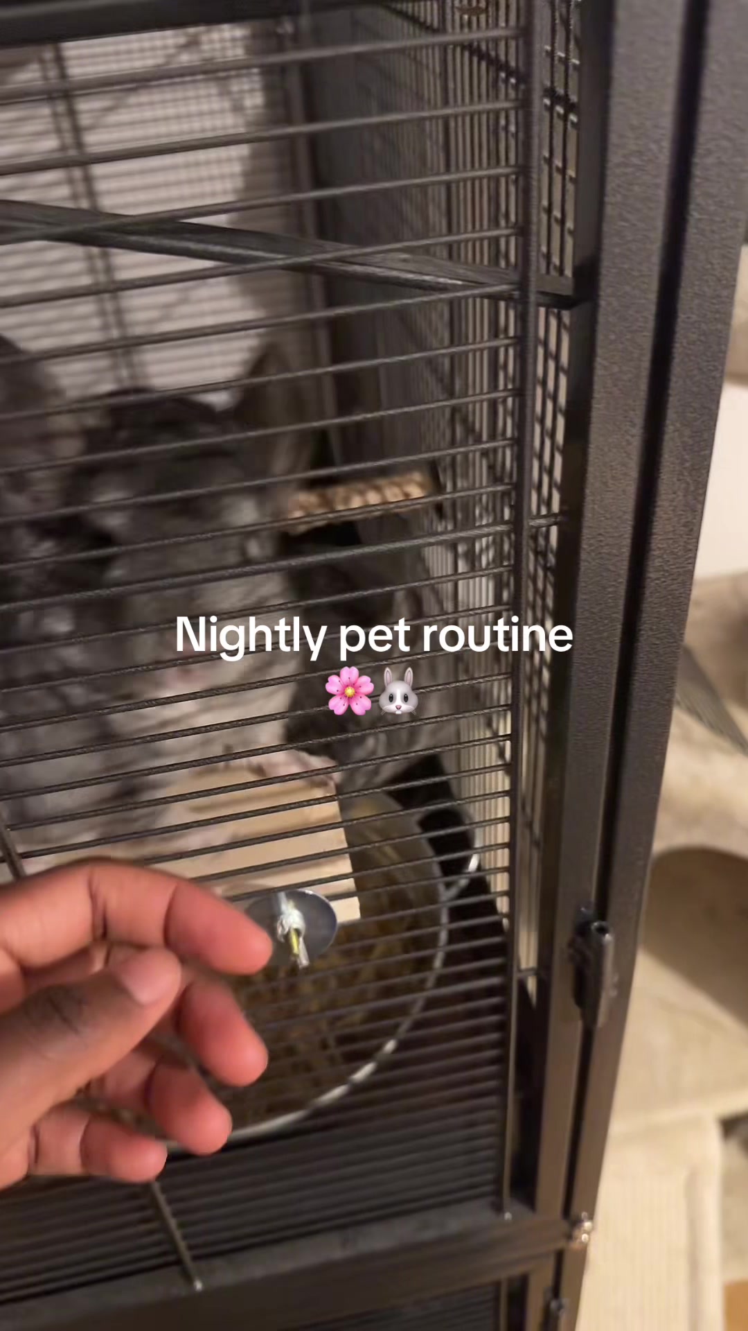 @BANDIT & STRIPE