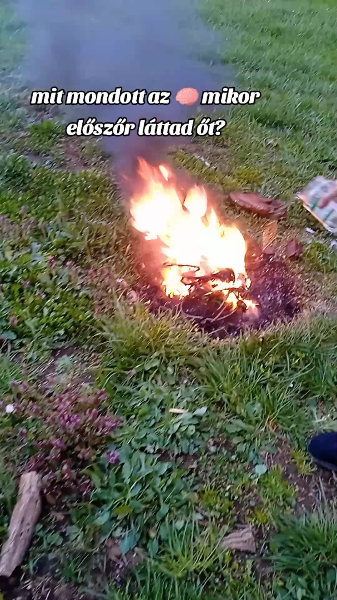 @🌲Ga&aacute;l Vanda🌲