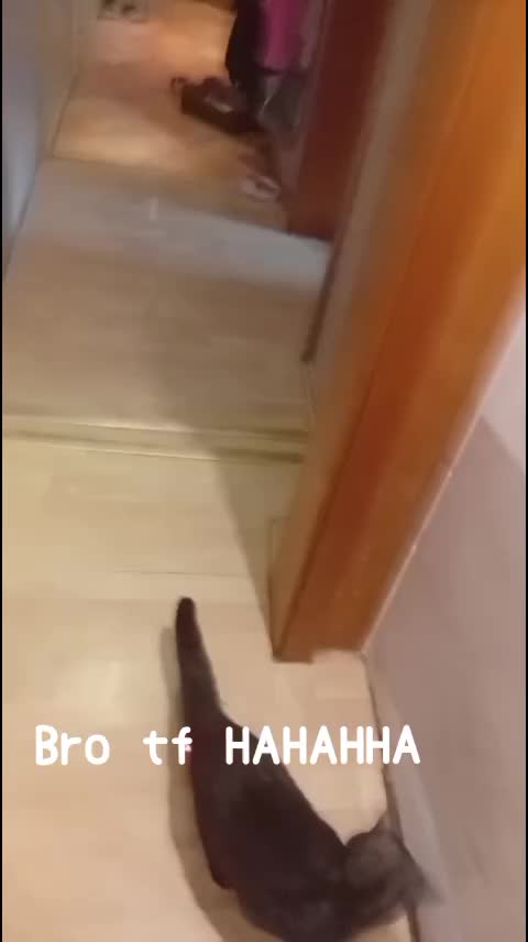 @🌘☄️ᒪ00ᑎᗩ_ᔕT★ᖇᑕᕼ4ᔕEᖇ☄️🌒