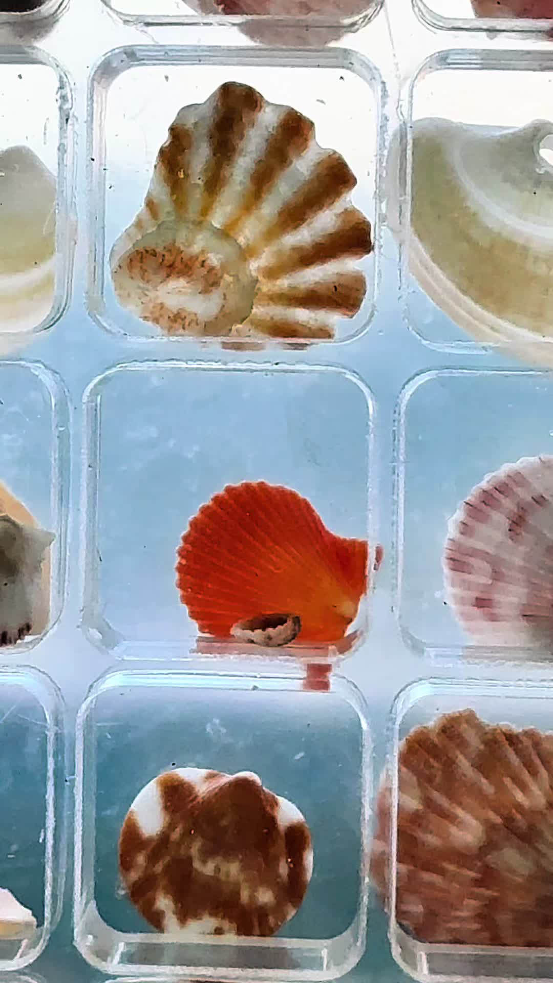 @๐โณโด๐๐๐๐
