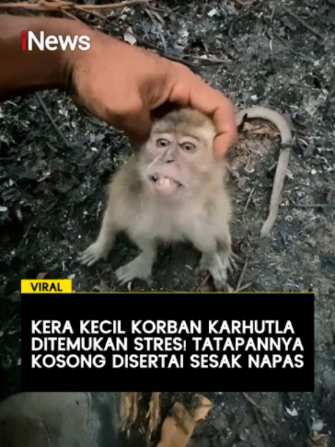 @OfficialiNews
