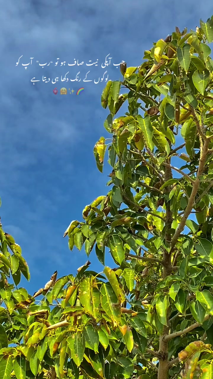 @Wiqiii_Bhaii🌍🤗