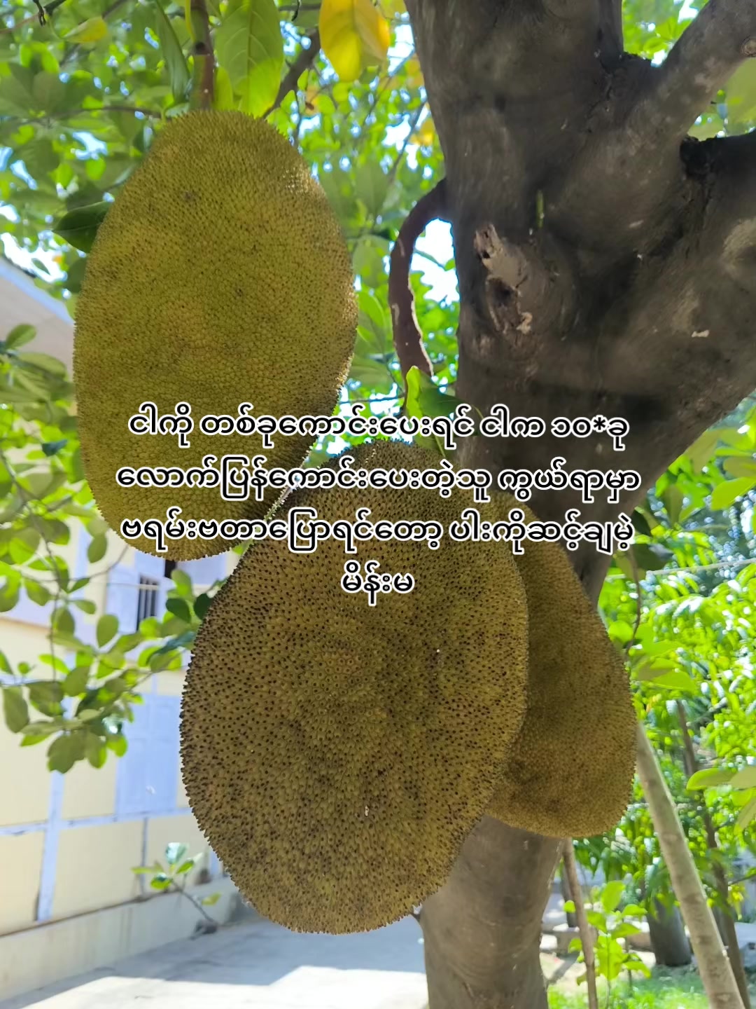 @🍃အမ်"Bi🍀
