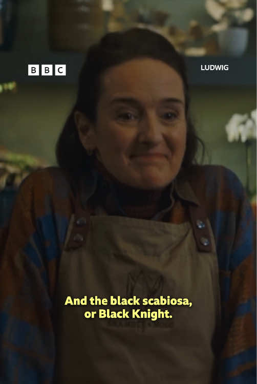 @BBC