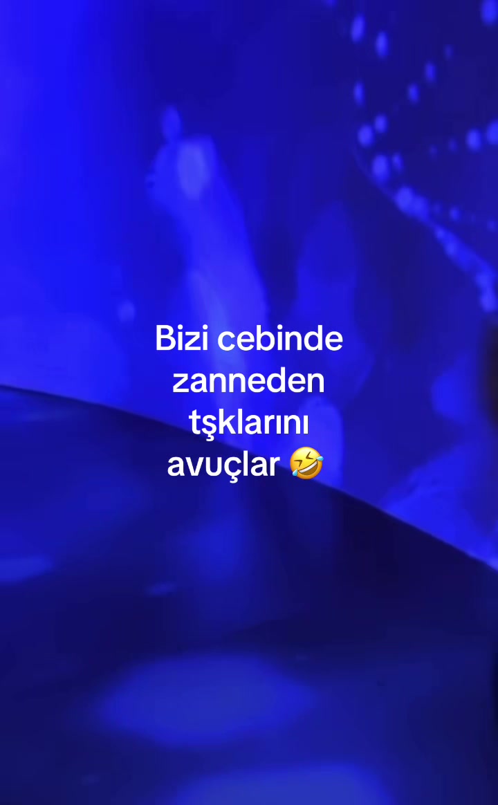 @uǝɹǝƆ 🪳