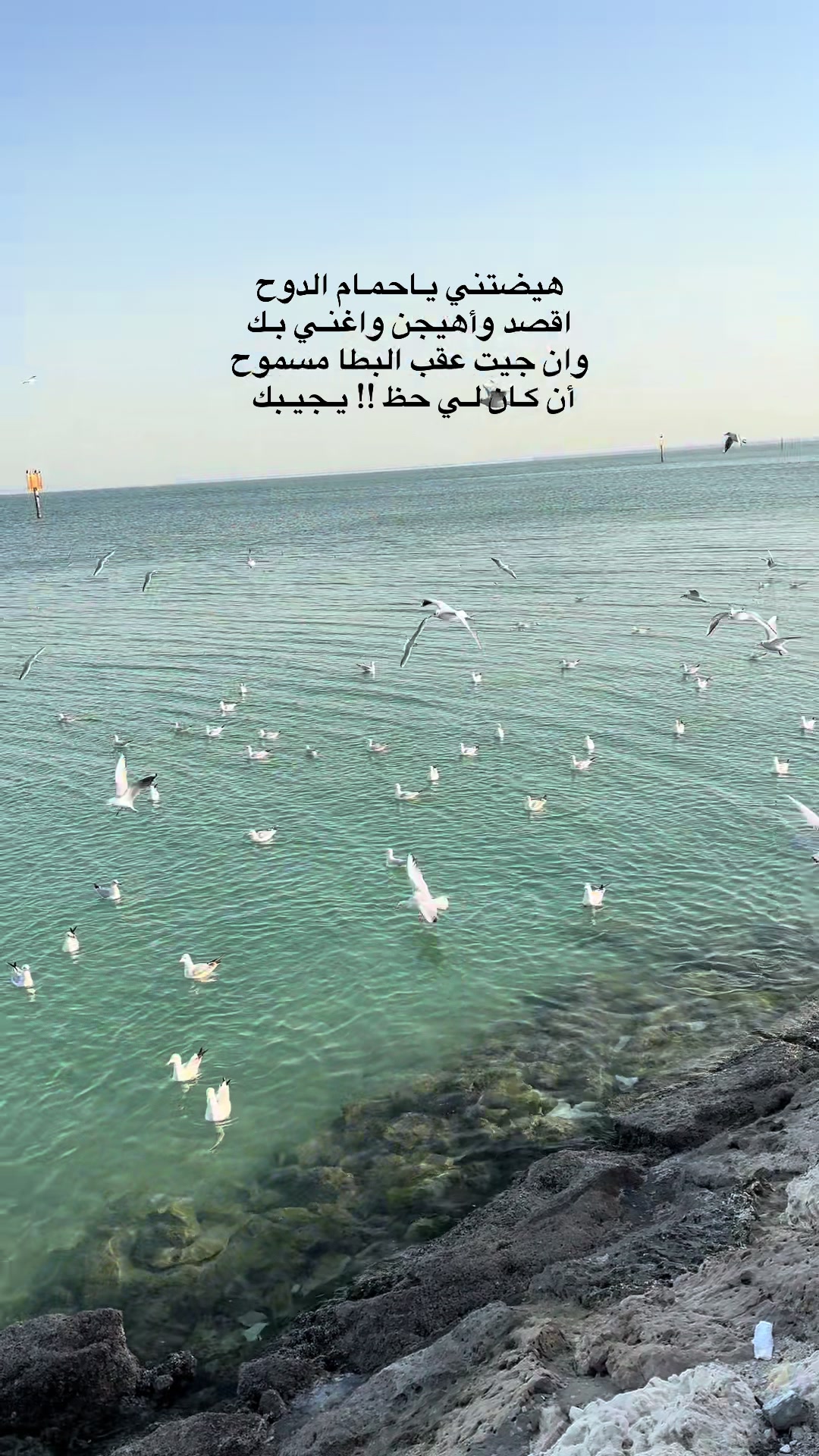 @﮼هديل﮼الخبر 🕊️📸