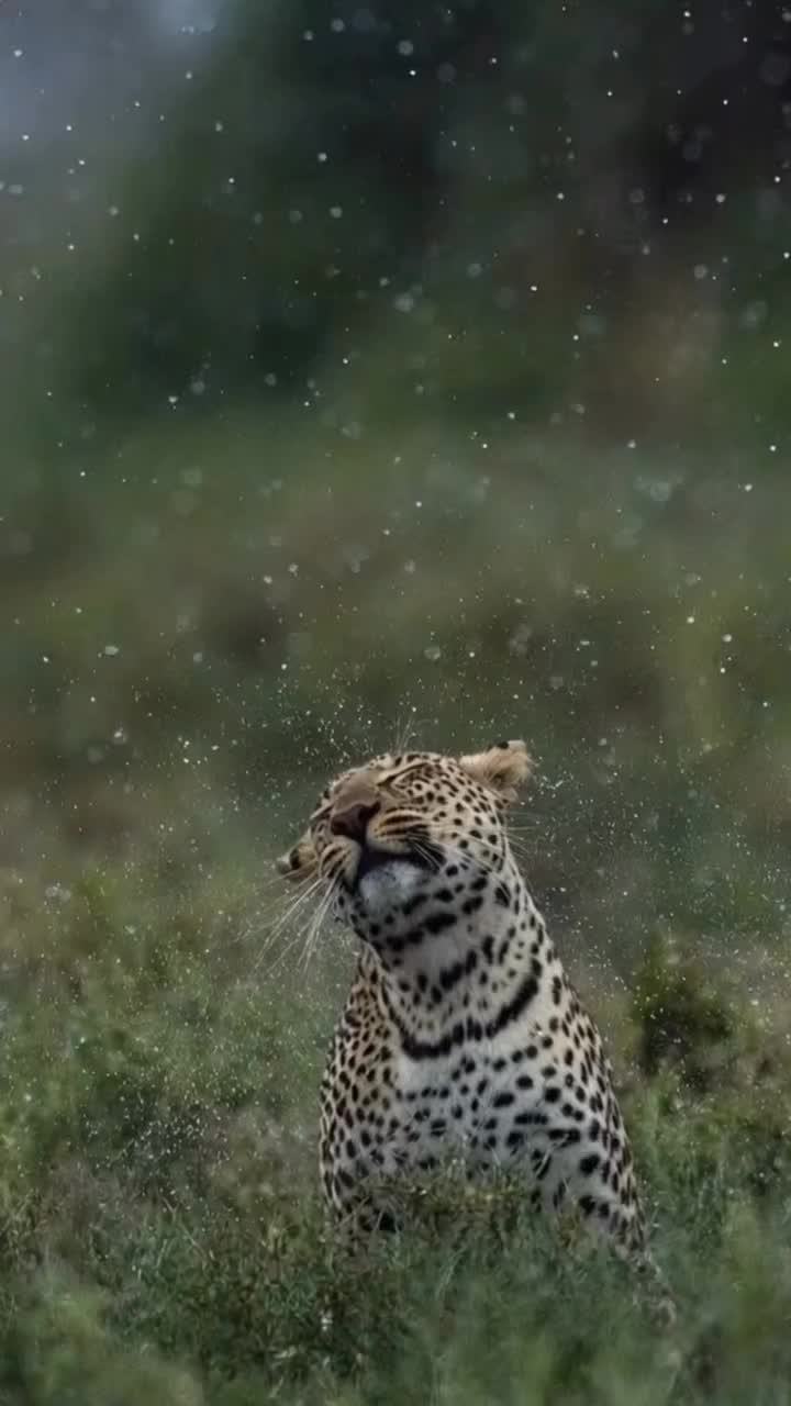 @💫NM💫