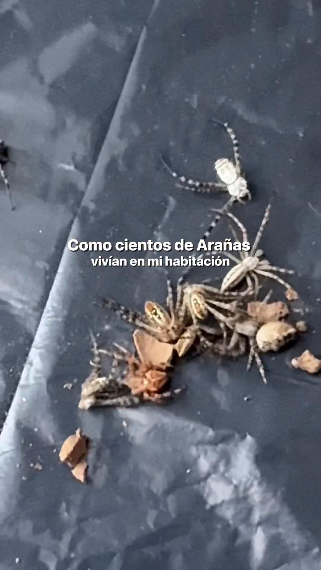 @arlan naiman
