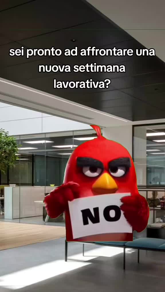 @Stefano Cr80