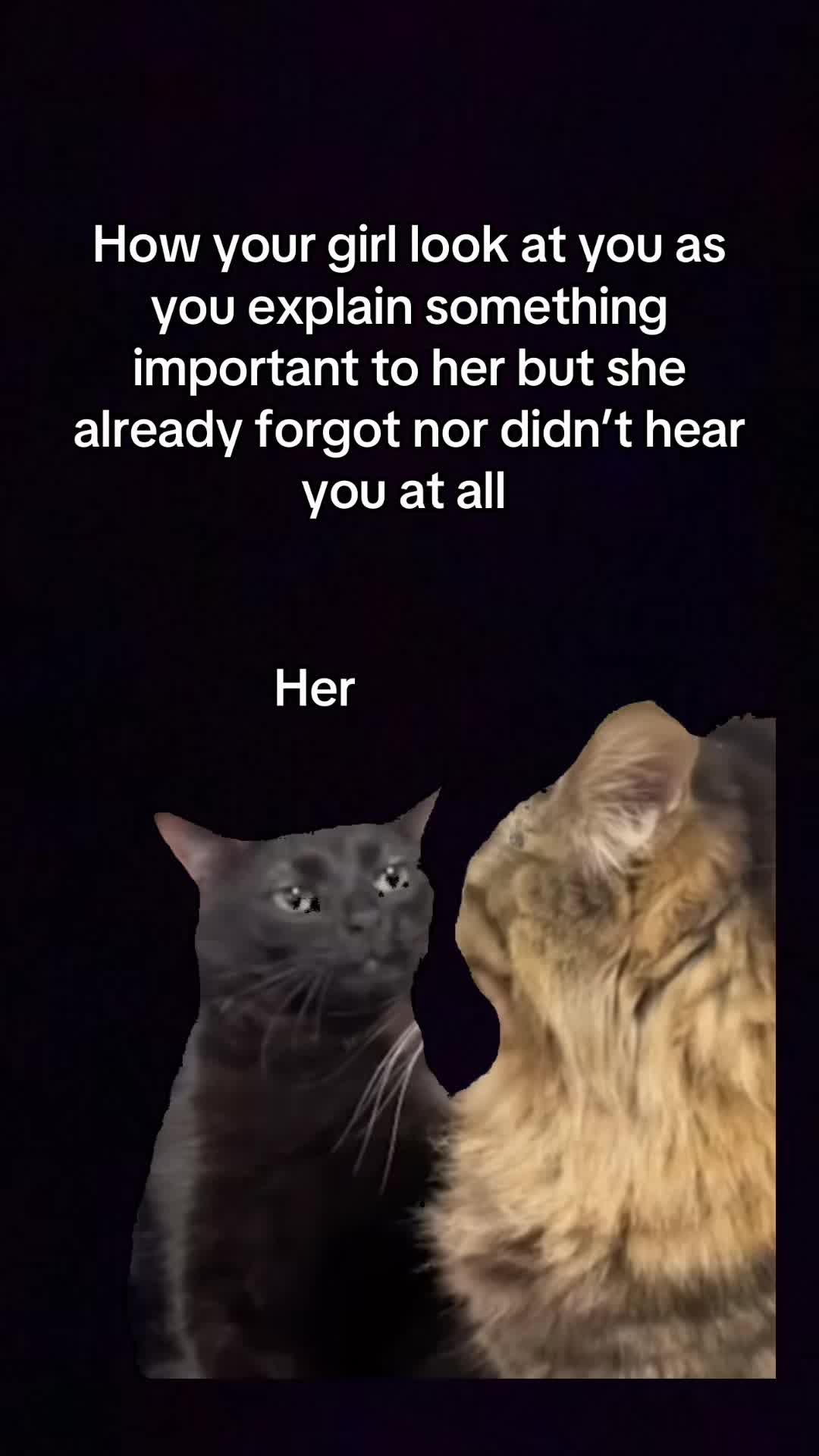 @KingalvinM
