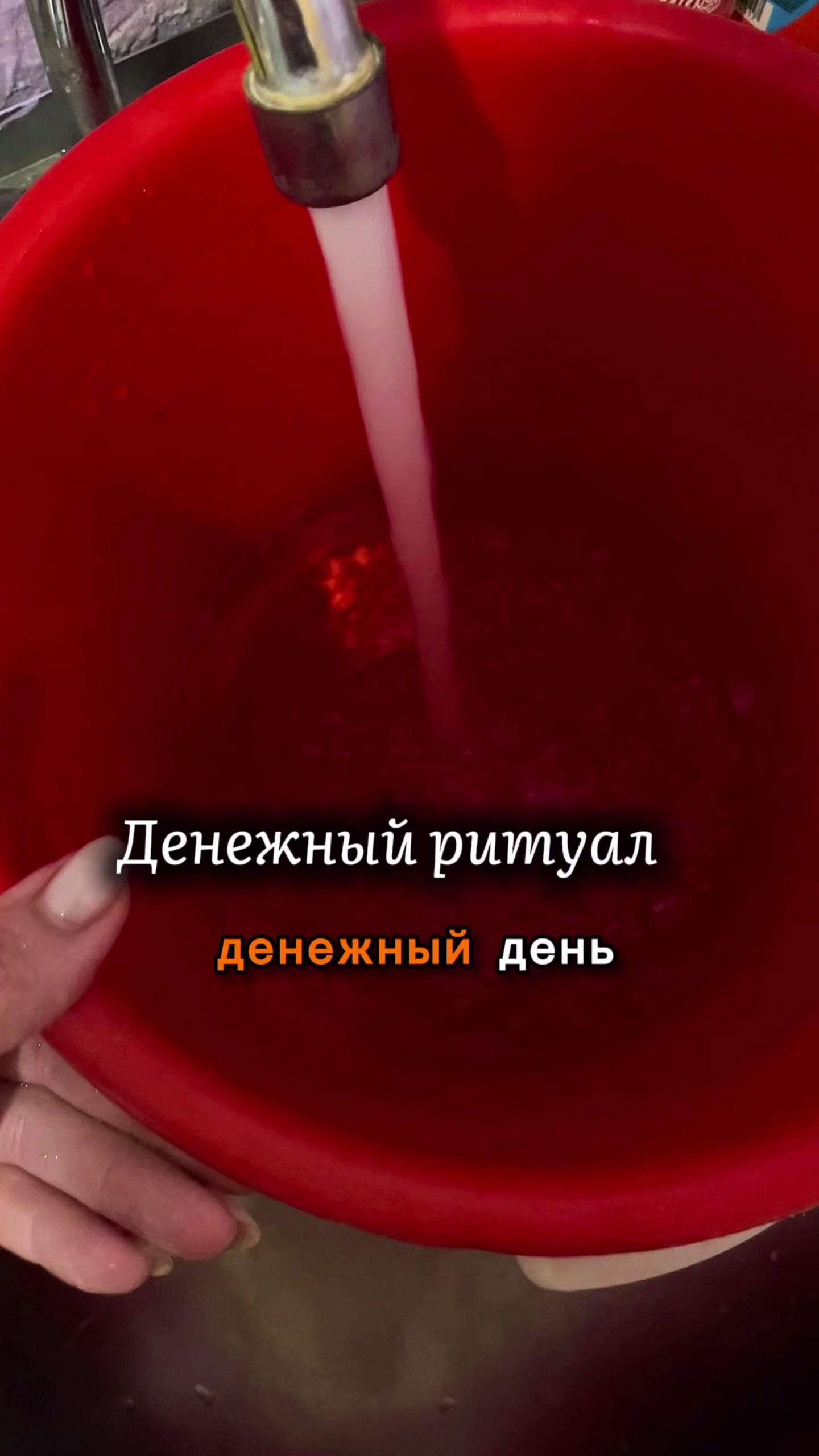 @nikadar_369