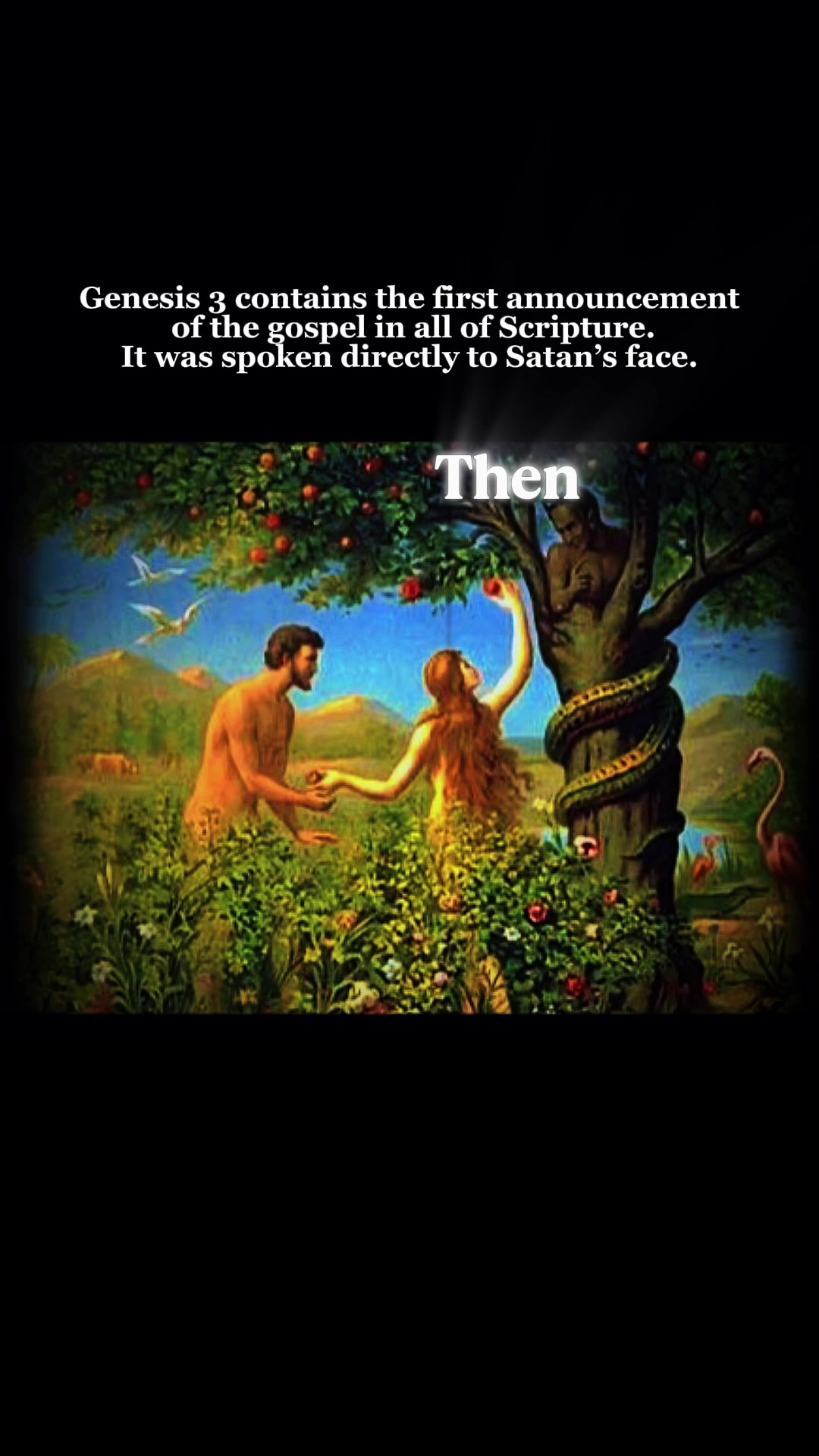 @LearnFromChristOfficial