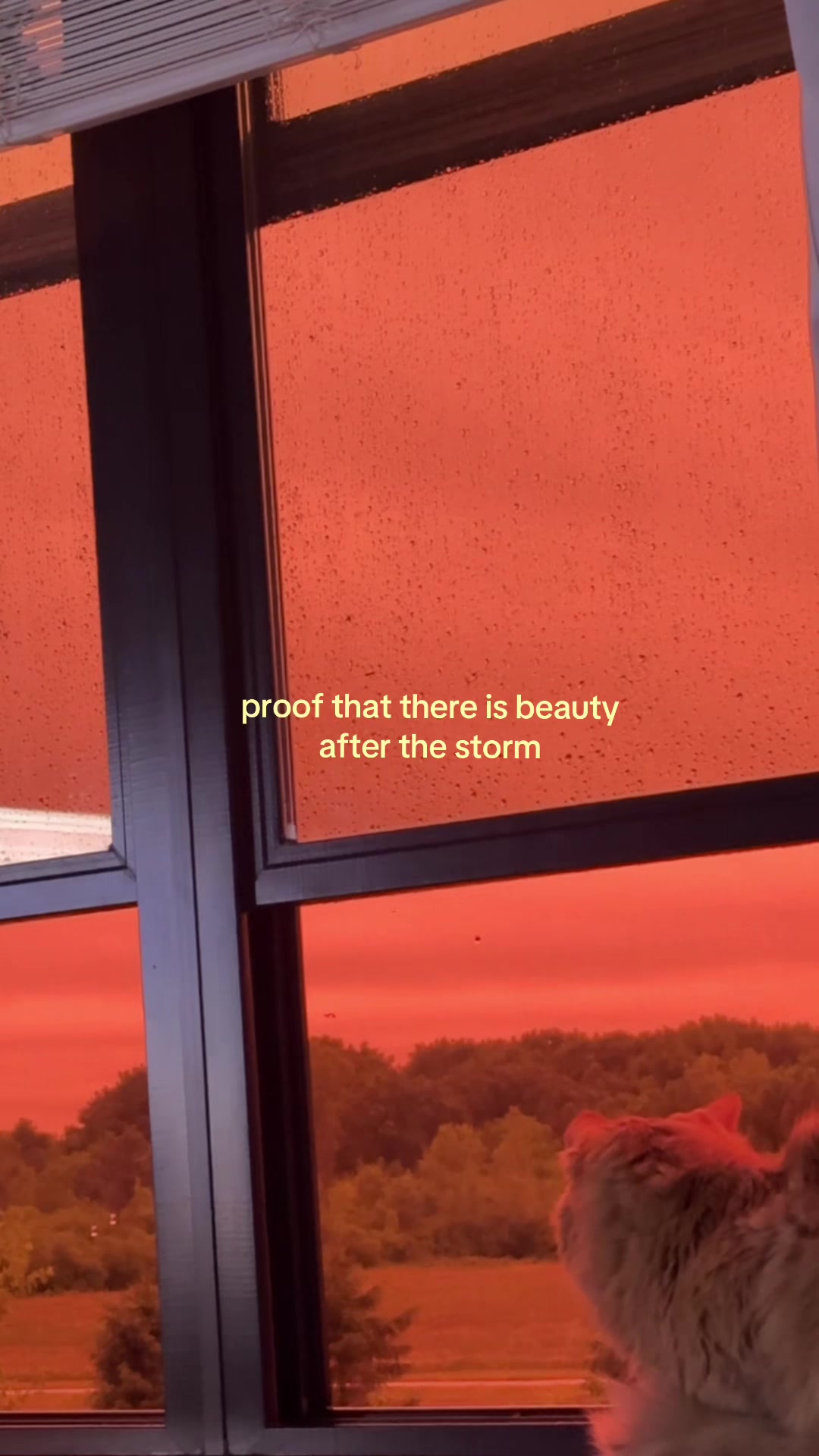 @Sarah Nicole