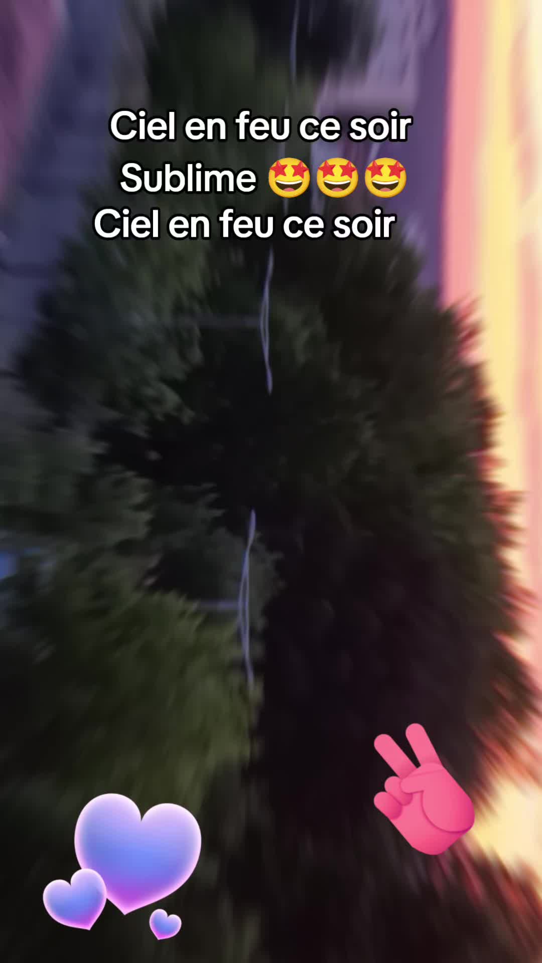@Jenny