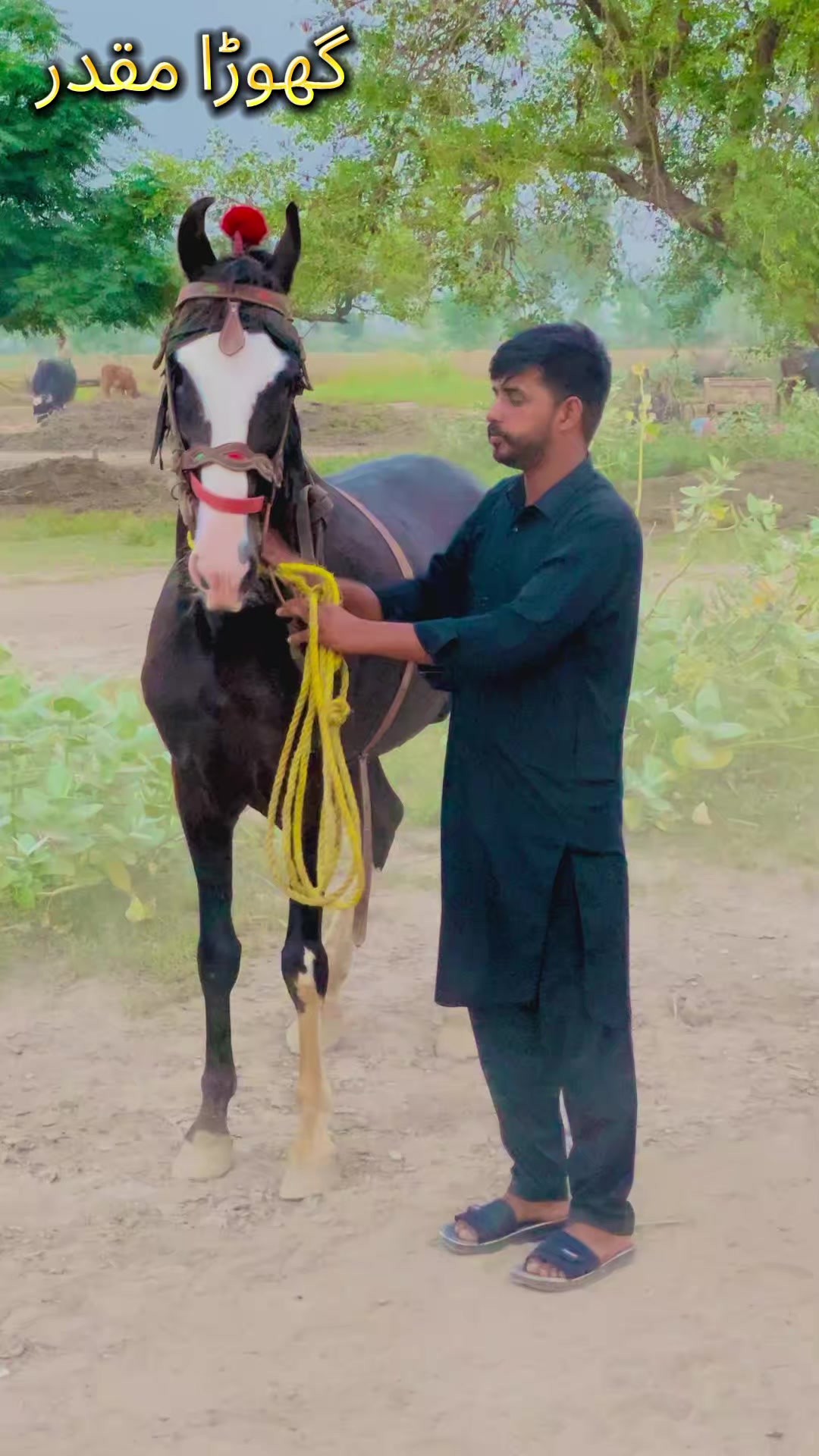 @احسانی پاکھرےآلا🫀
