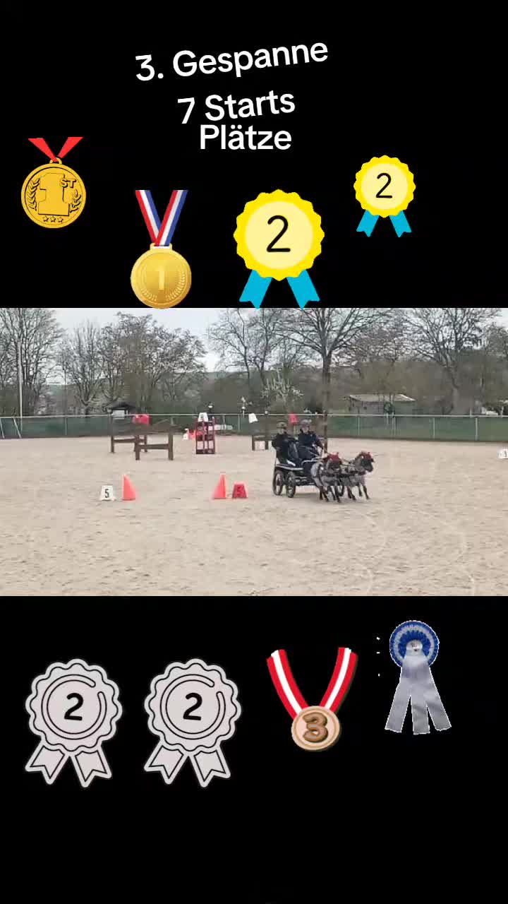@💞🐴 Madeleine 🐴💞