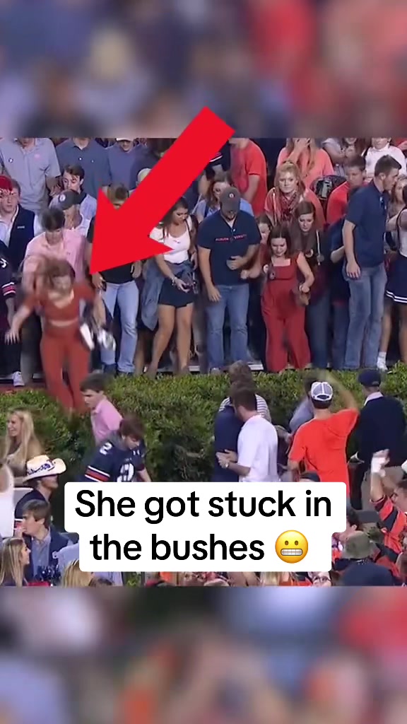 @SECNetwork