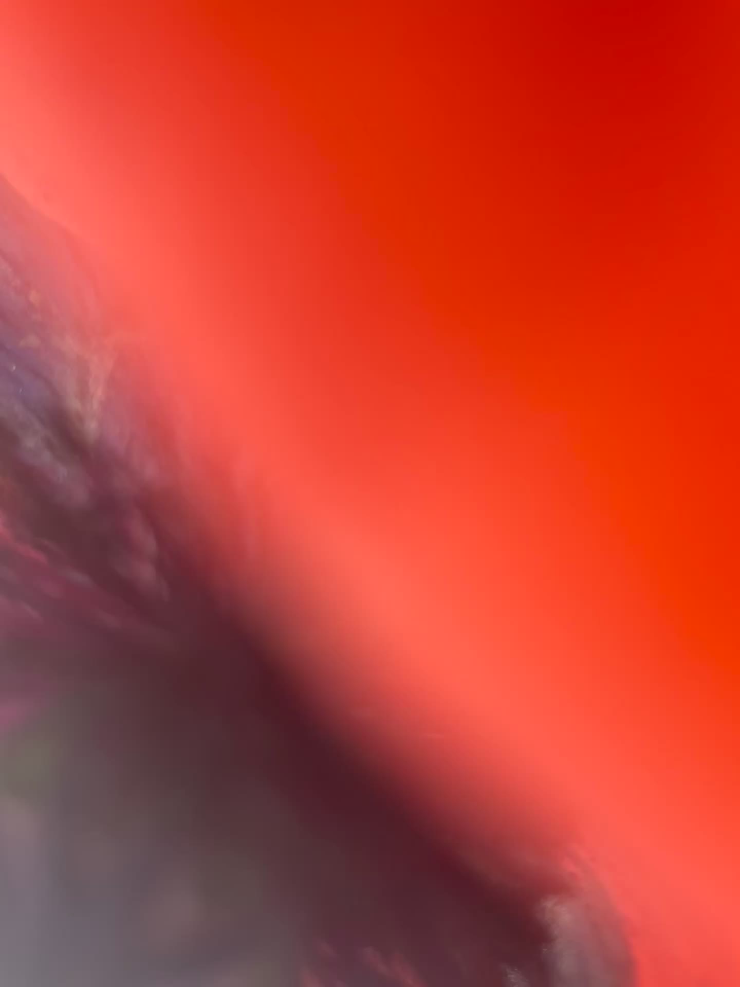 @Rosyslive 💎