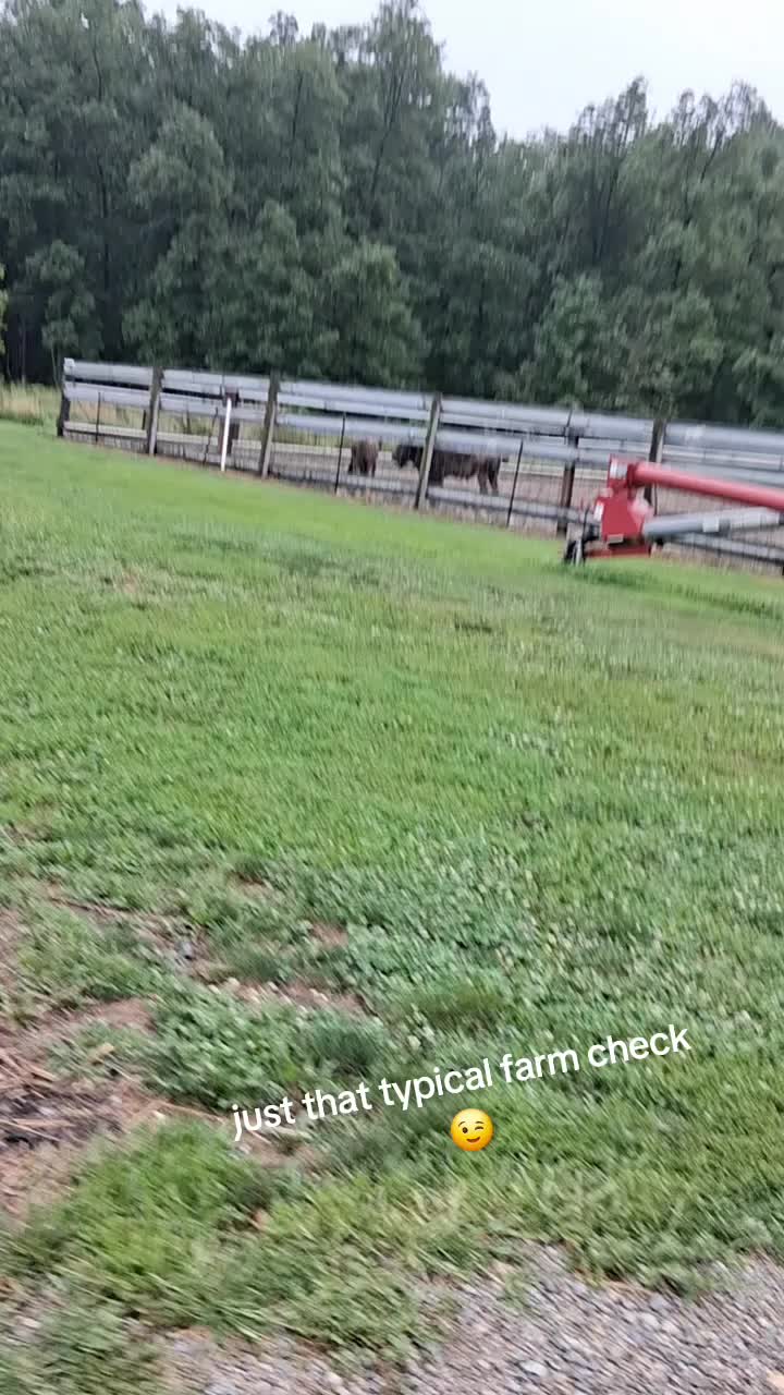 @Taylor | Sah{farm}m