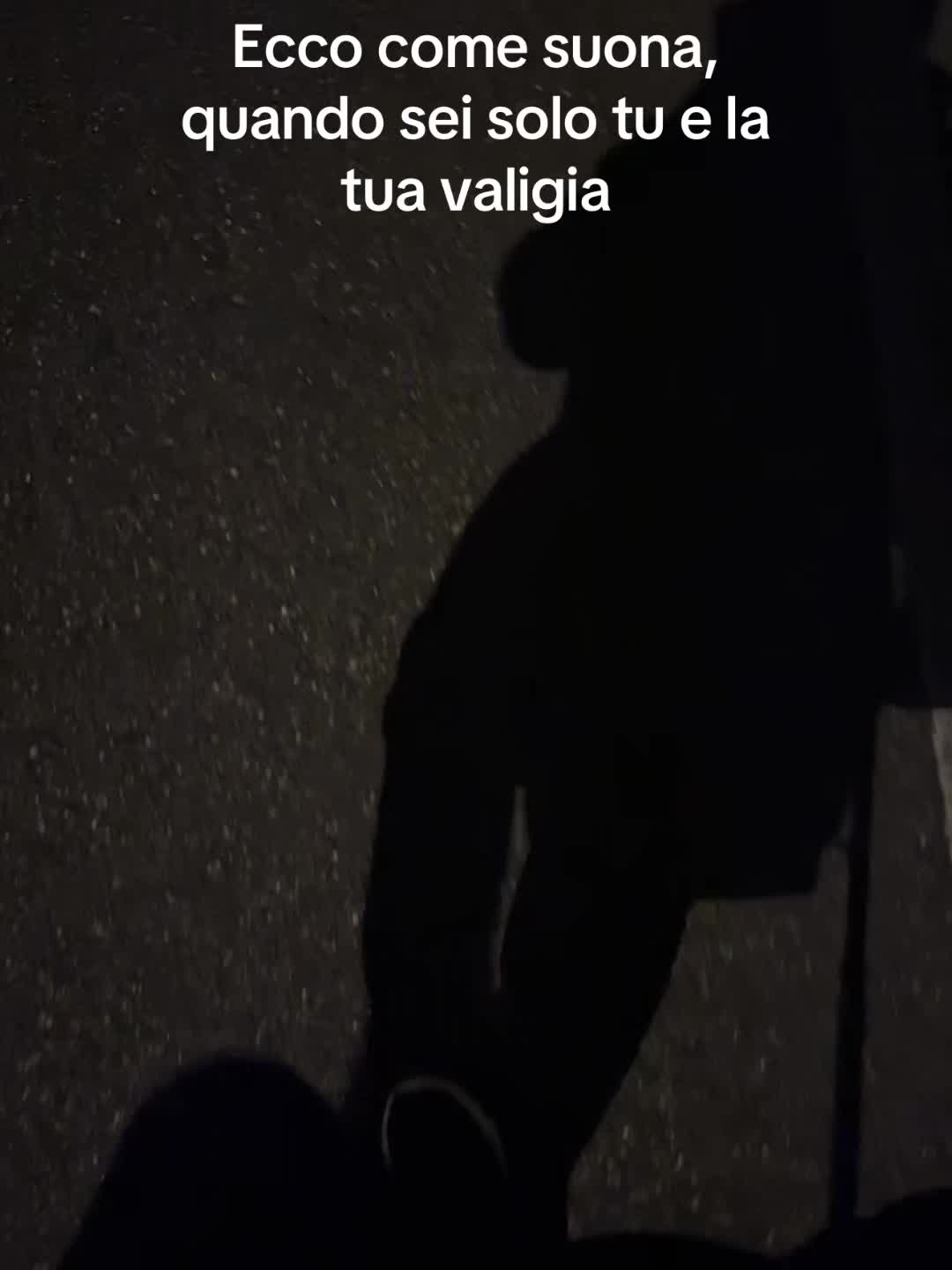 @Martina Falci506
