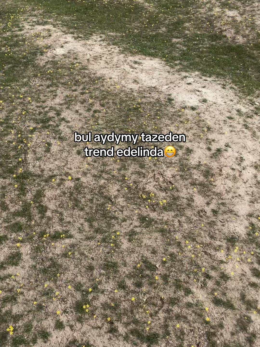 @B_ns.71