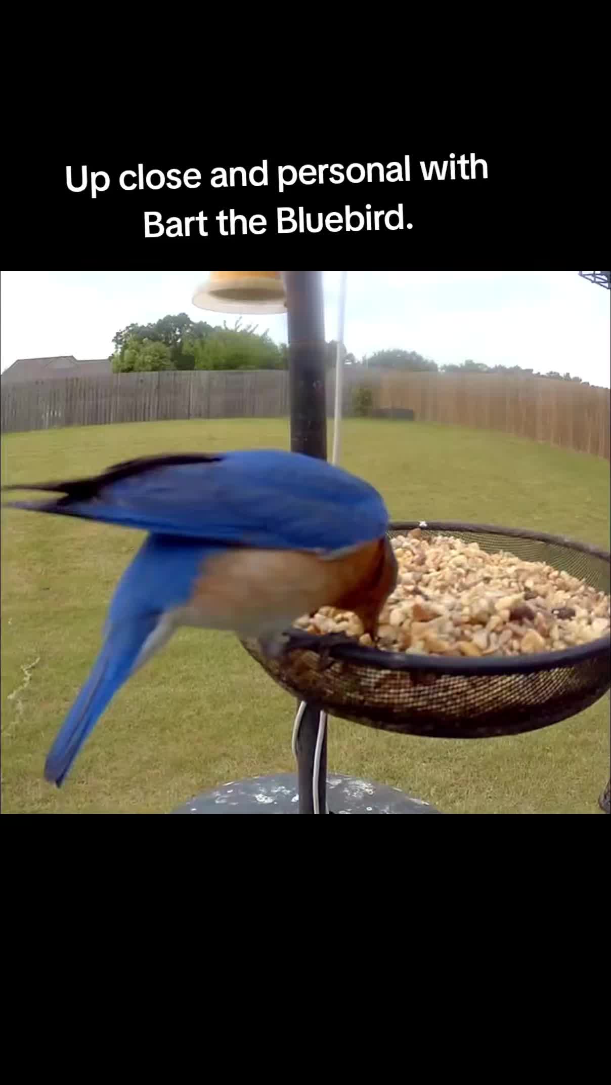 @The bird watcher 🐦 🦜 🦚