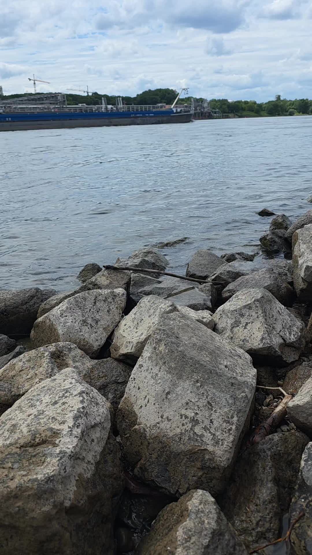 @ابن عفرين✌️