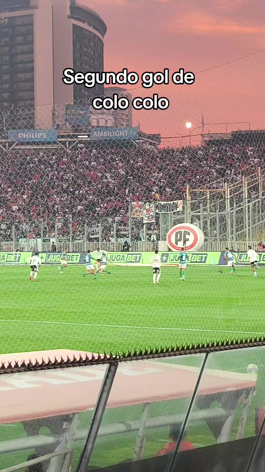@indumentaria_colocolo_6