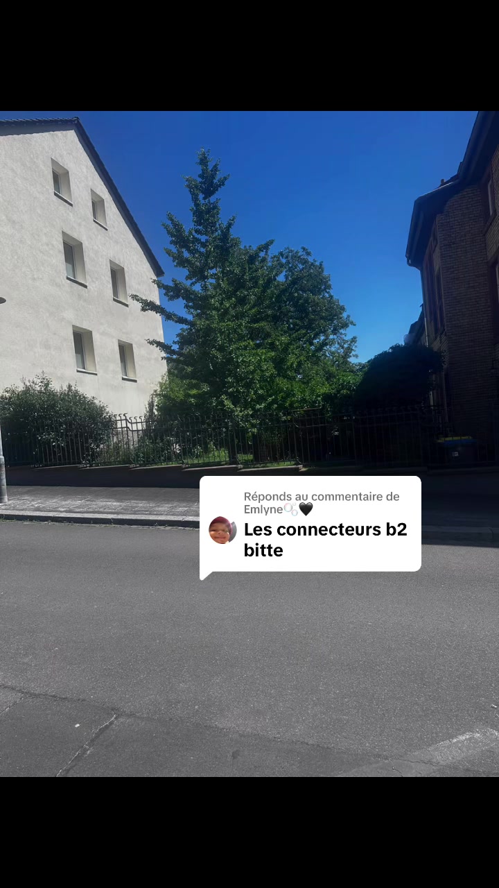 @parler_allemand