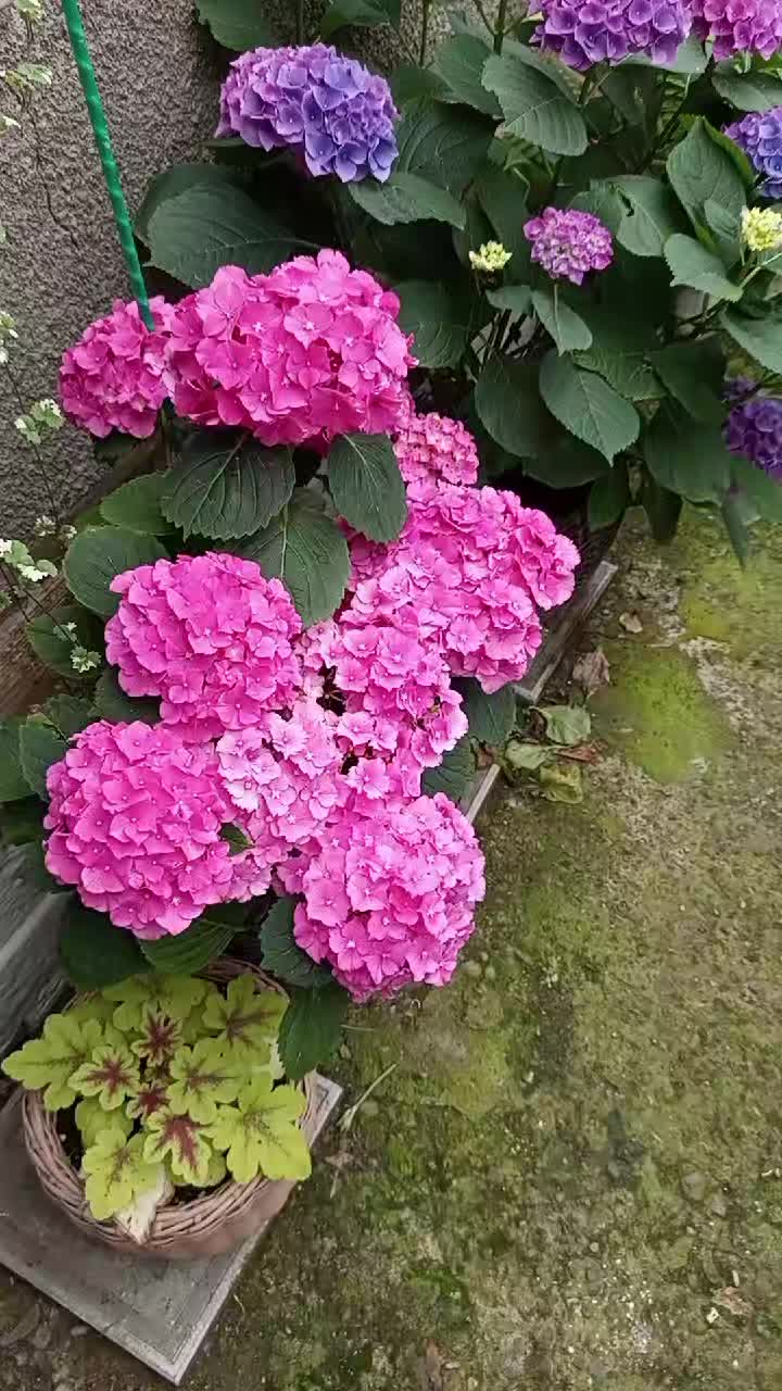 @Sveta_Petrenko