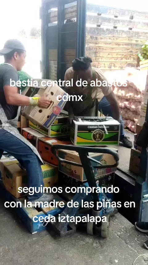 @Bestia central CDMX