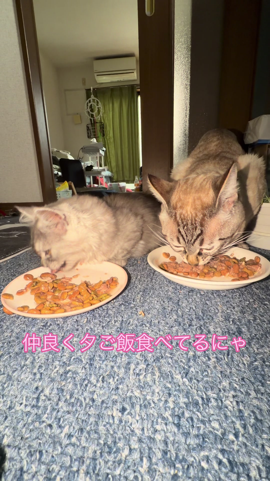 @ð¥é»æŸ€æ£å¿ð¥