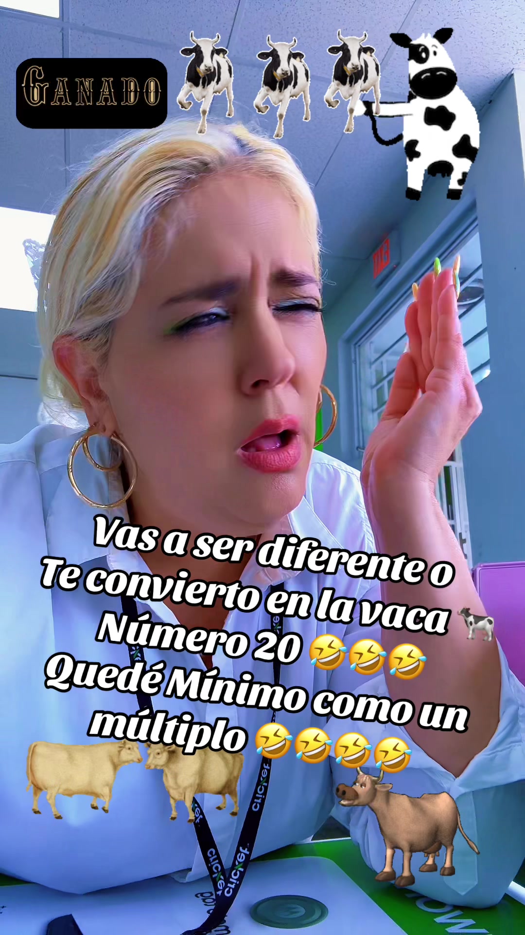 @yayi
