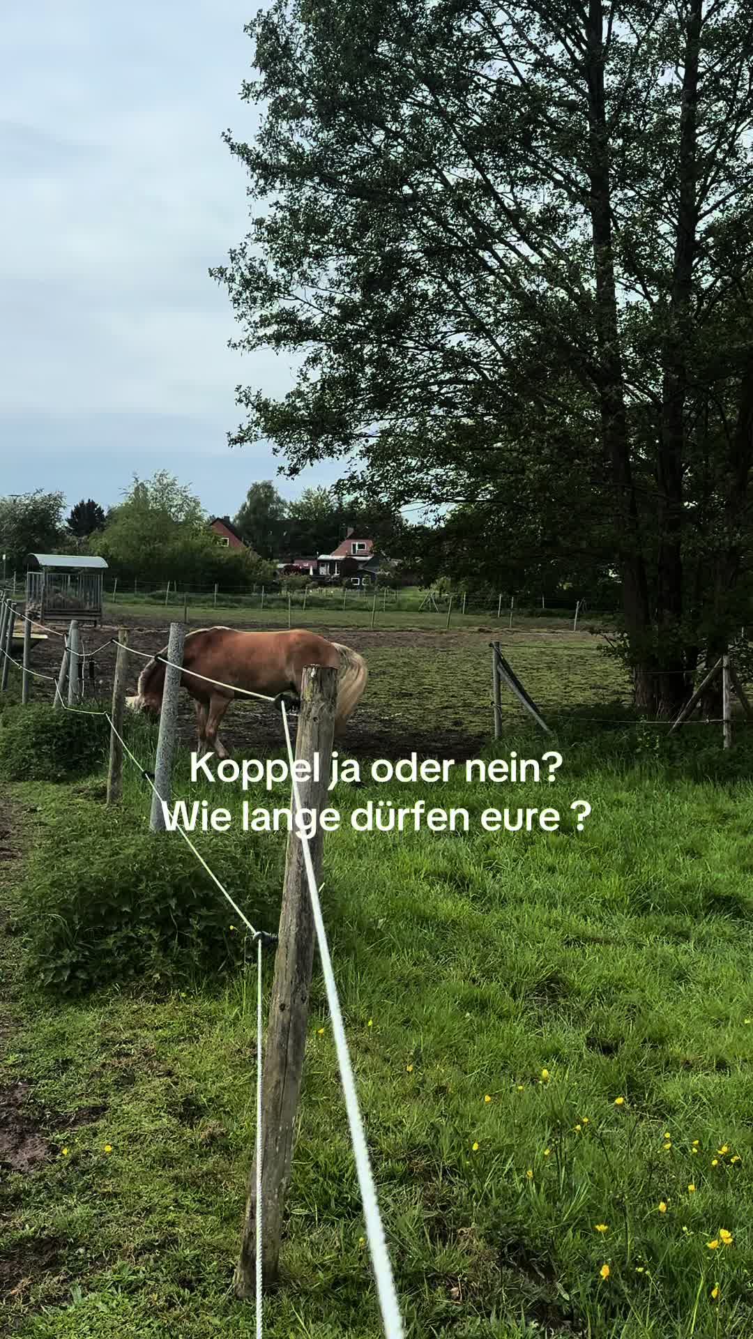 @Lena Dibbern
