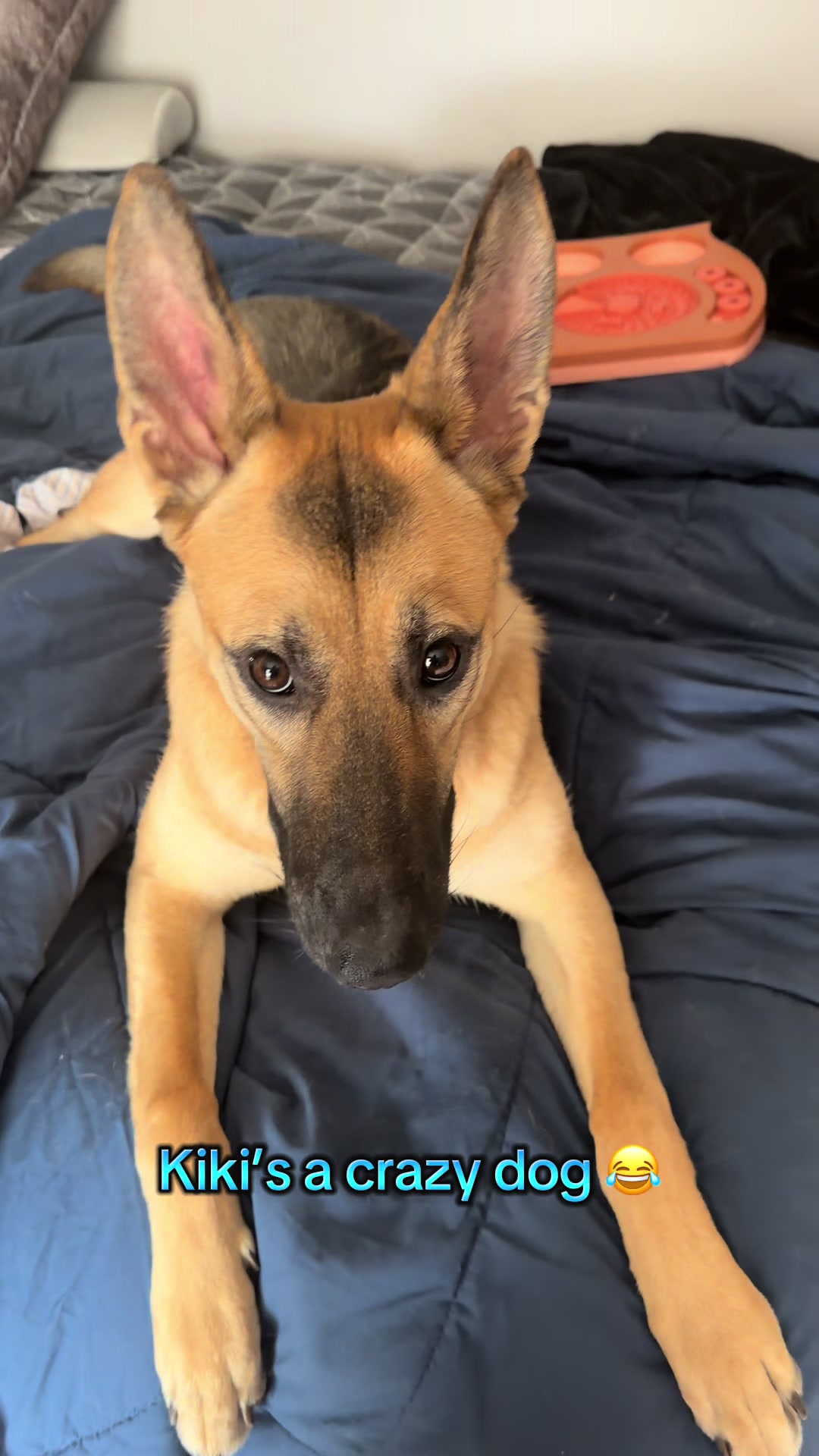 @Kiki.GSD