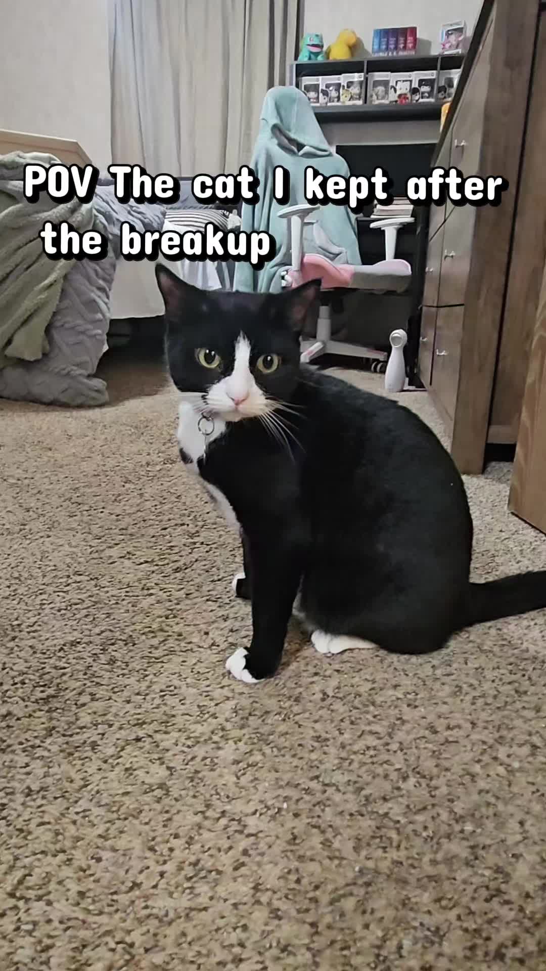 @Vader, Rocko, & Kona