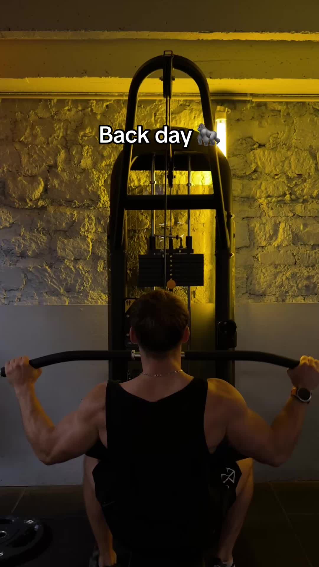 @laudace_fit