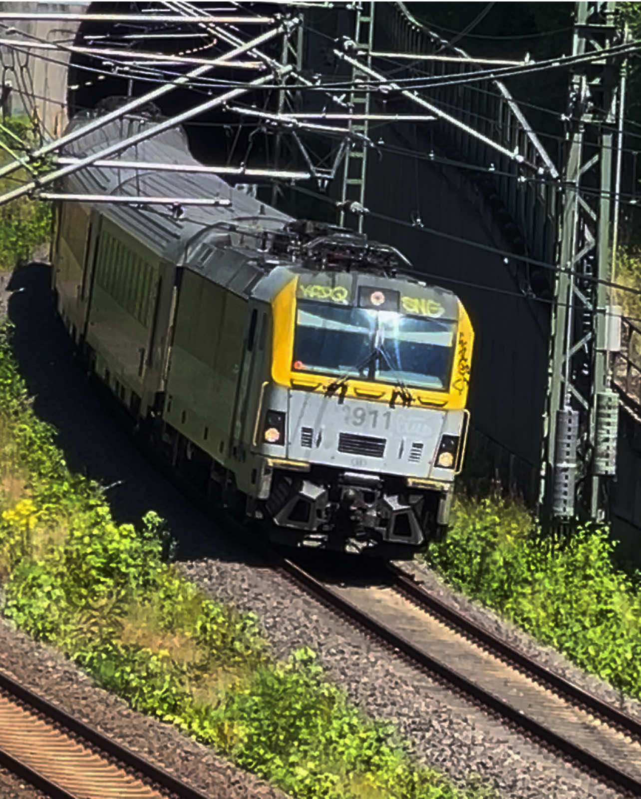 @ZW•NRW🇩🇪🦦