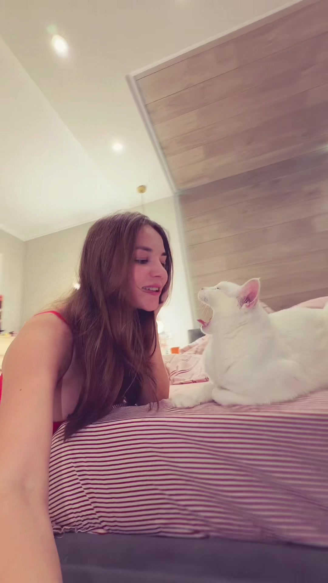 @ТГК: yaaadashulya🎀