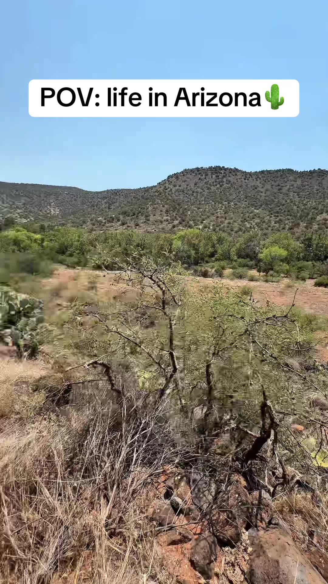 @gabemckenney