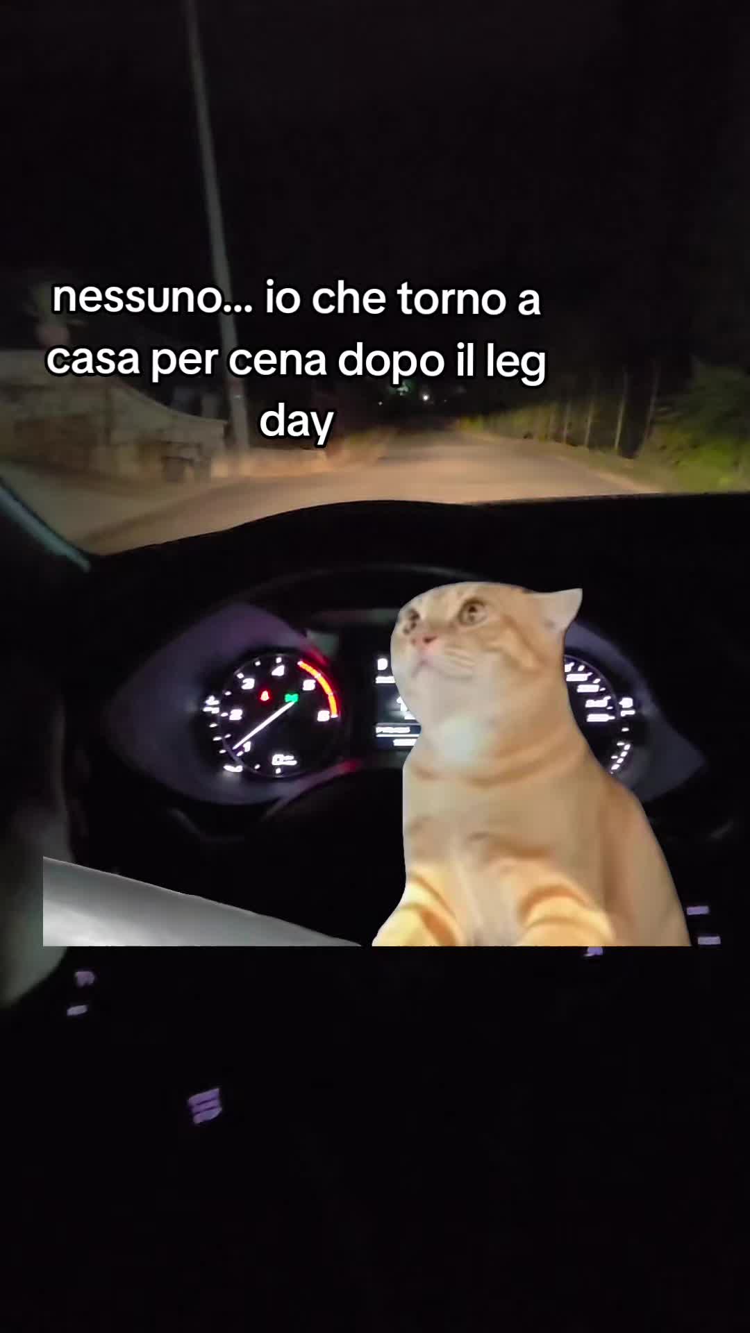 @Damiano