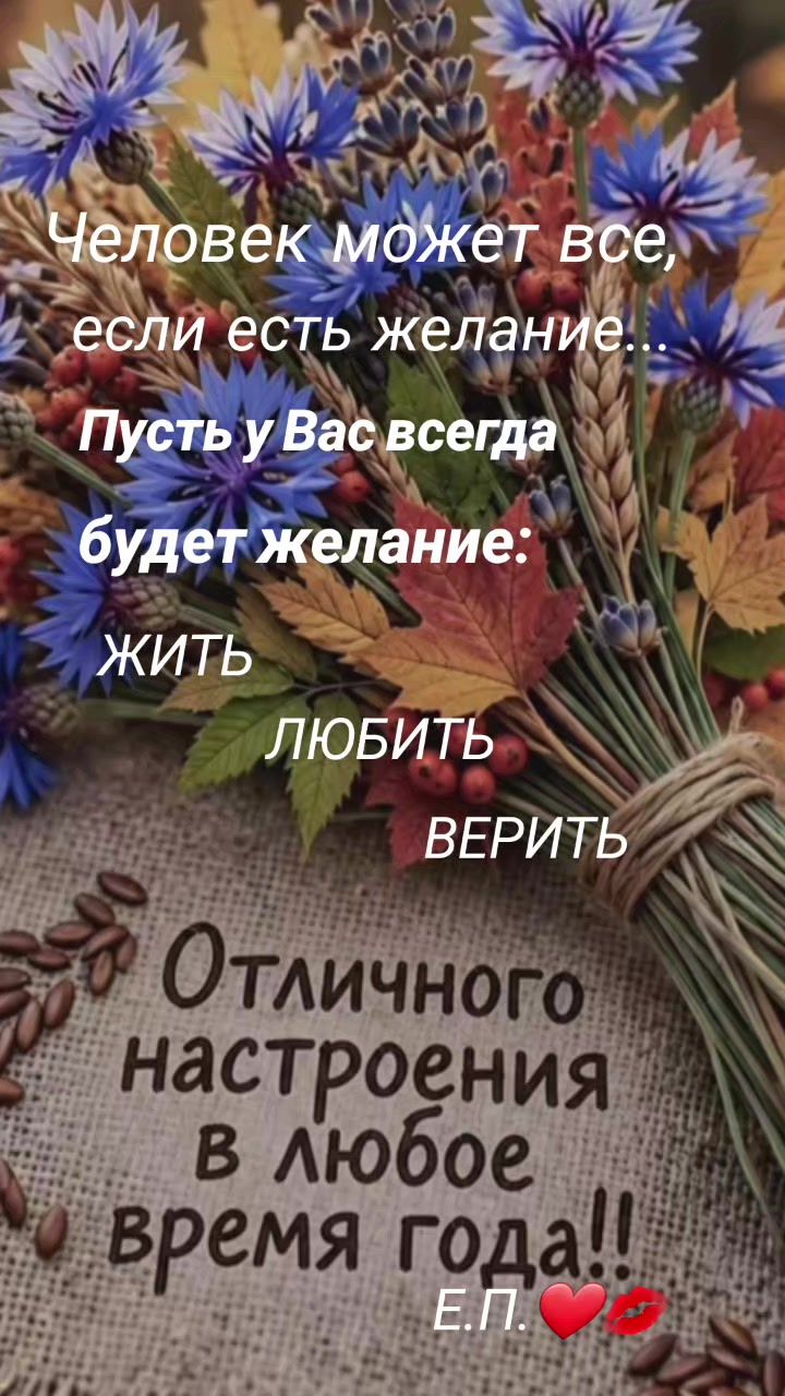 @Елена Паша