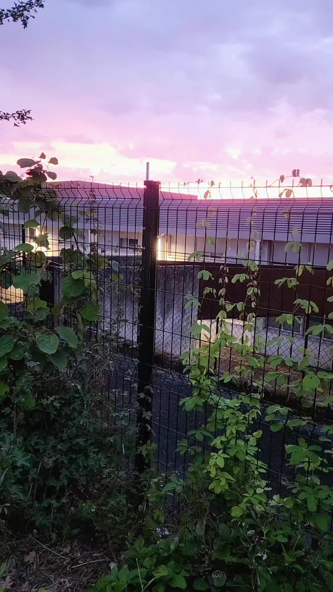 @Pereira