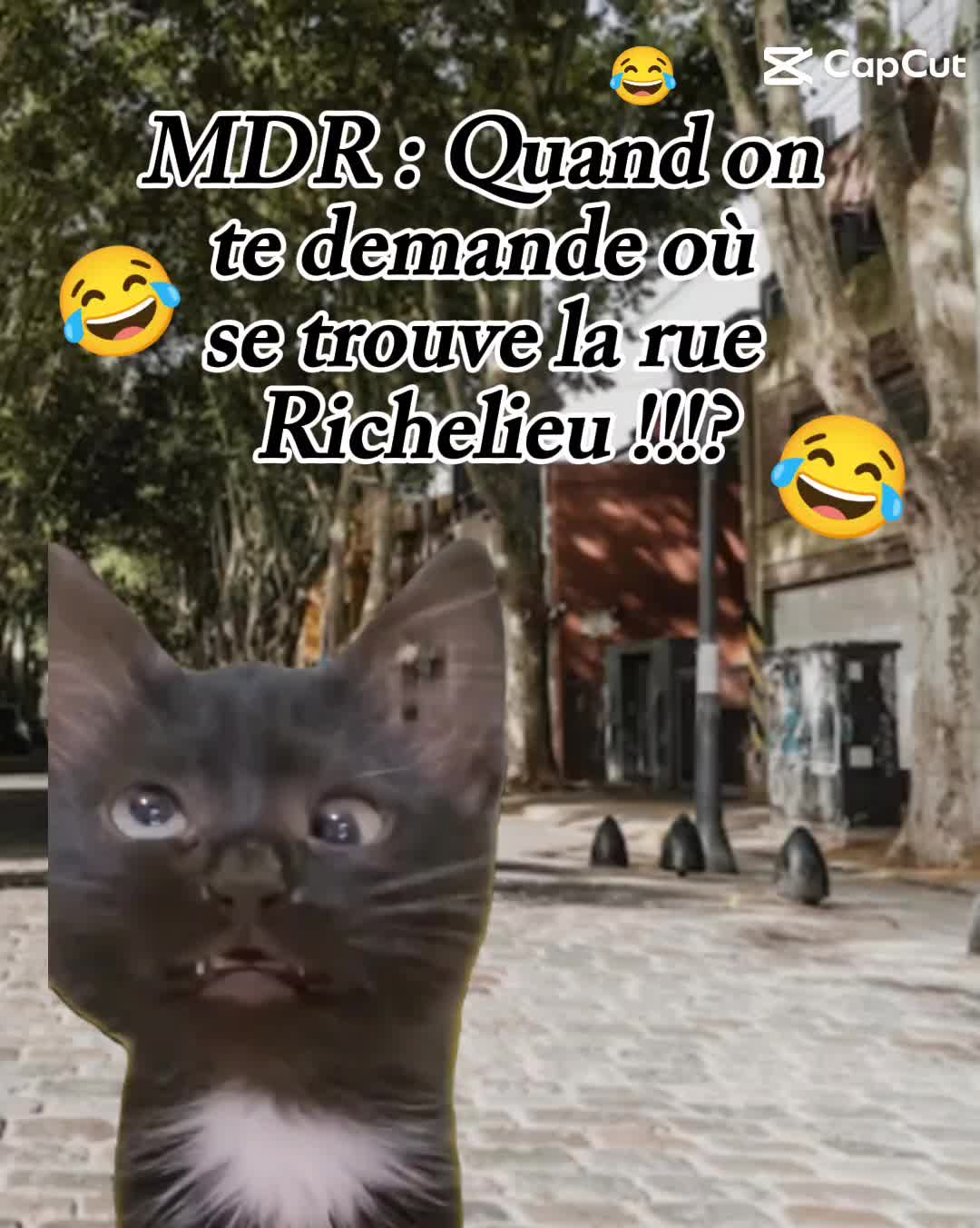 @Humour de wilou